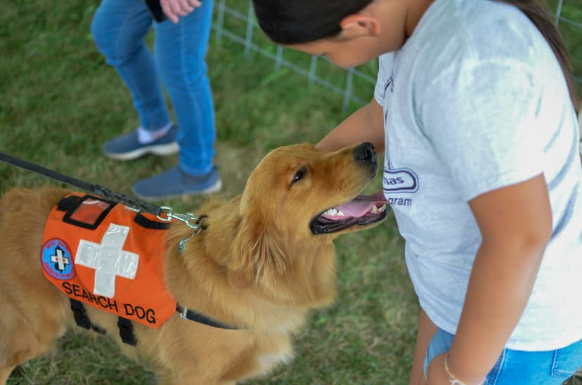 Emergency First Aid for Pets: Essential Skills Every Owner Should Know